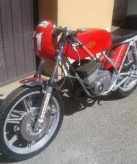 gilera tg1