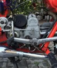 MOTO GUZZI Airone 250 1951