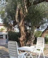 Villa in Vendita a 158.000