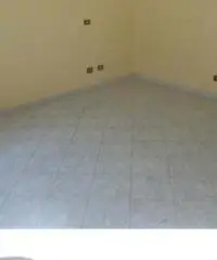 Appartamento in Affitto - TUTTE