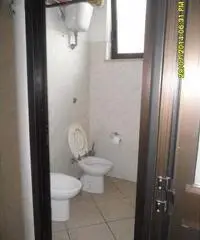 Locale commerciale di 1 locali in Affitto