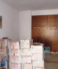 Appartamento in Affitto a 550