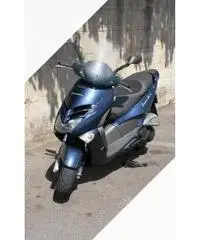 Aprilia Leonardo 250 - 2002