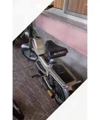 Mini califfo Rizzato