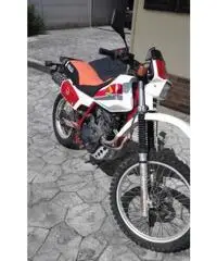 Honda XL600R, anno 1983