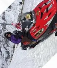 Altro Altro modello - 2001