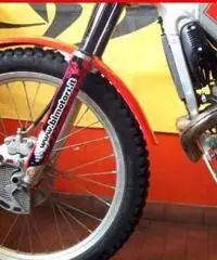 BETAMOTOR REV-3 250 GRICIO ROSSA - 2000