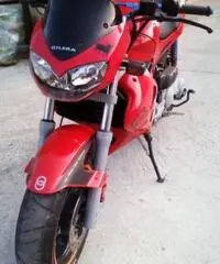 gilera dna