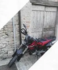 Honda FMX 650 - 2007