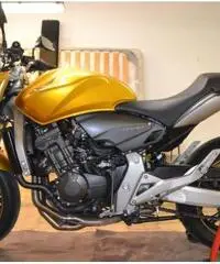 honda hornet