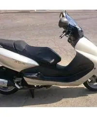 MBK Skyliner 150 del 2001 uguale a Yamaha Majesty