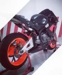 CBR 600 RR pronto gara pista