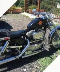 Harley 883