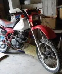 HONDA Xl tipo veicolo Enduro cc 600