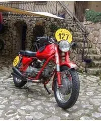 MOTO GUZZI NUOVO FALCONE 500 STORICA 1971  NUOVISSIMA!