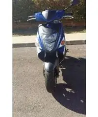 Bellet 50 PERFETTO 2014