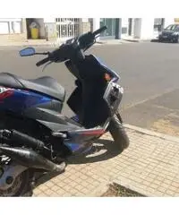 Bellet 50 PERFETTO 2014