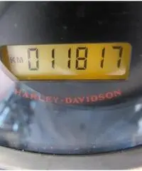 HARLEY-DAVIDSON Sportster 883 Custom cc 883