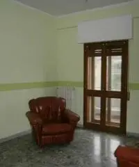 Appartamento in Affitto 150mq