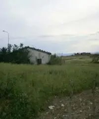 Pietrelcina: Terreno Altro