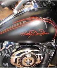 HARLEY-DAVIDSON Touring Electra Glide Custom cc 1690