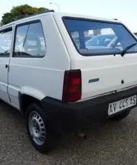 FIAT Panda 900 i.e. cat Young