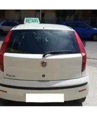 FIAT Punto Classic 1.2 5 porte Natural Power OK NEOP GARNZ EU