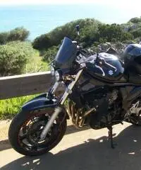 SUZUKI BANDIT GSF 650