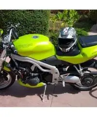 Triumph Speed Triple 955