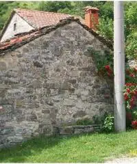 Badia Tedalda Vendita Rustico