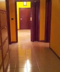 Appartamento in Affitto a 1.000