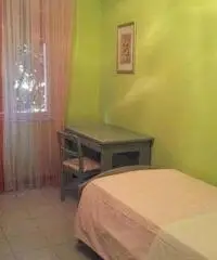 Appartamento in Affitto a 1.000