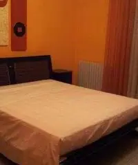 Appartamento in Affitto a 1.000