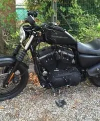 HD sportster 883 iron