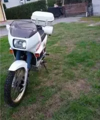 Honda transalp v 600 xl 1987 (cerchi oro)