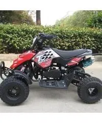 WT MOTORS KOBRA 50cc cc 50