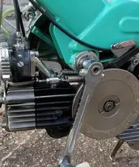 moschito garelli paperino