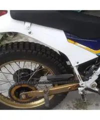 Fantic trial 303 con documenti