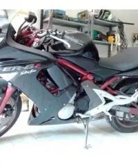 Kawasaki Er6 650 cc tenuta in modo maniacale