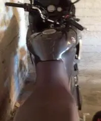 Yamaha TDM 900 - 2012