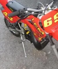 LEM MOTOR CROSS LX4 Cross cc 50