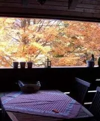 Tarvisio Vendita Appartamento