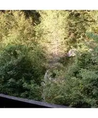 Appartamento in Vendita 35mq