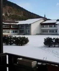 Appartamento in Vendita a 50.000