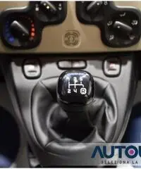 FIAT Panda 1.2 EASY NEOPATENTATI SOLO 29.000 KM