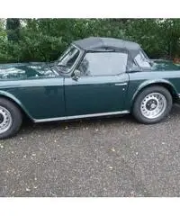 TRIUMPH TR6
