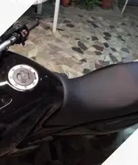 Suzuki freewind 650 del 99