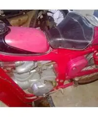 CAPRONI CAPRIOLO 75 2T cc 125 immatricolata 1950