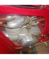 CAPRONI CAPRIOLO 75 cc