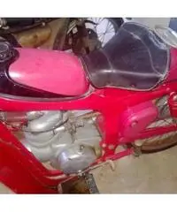 CAPRONI CAPRIOLO 75 cc